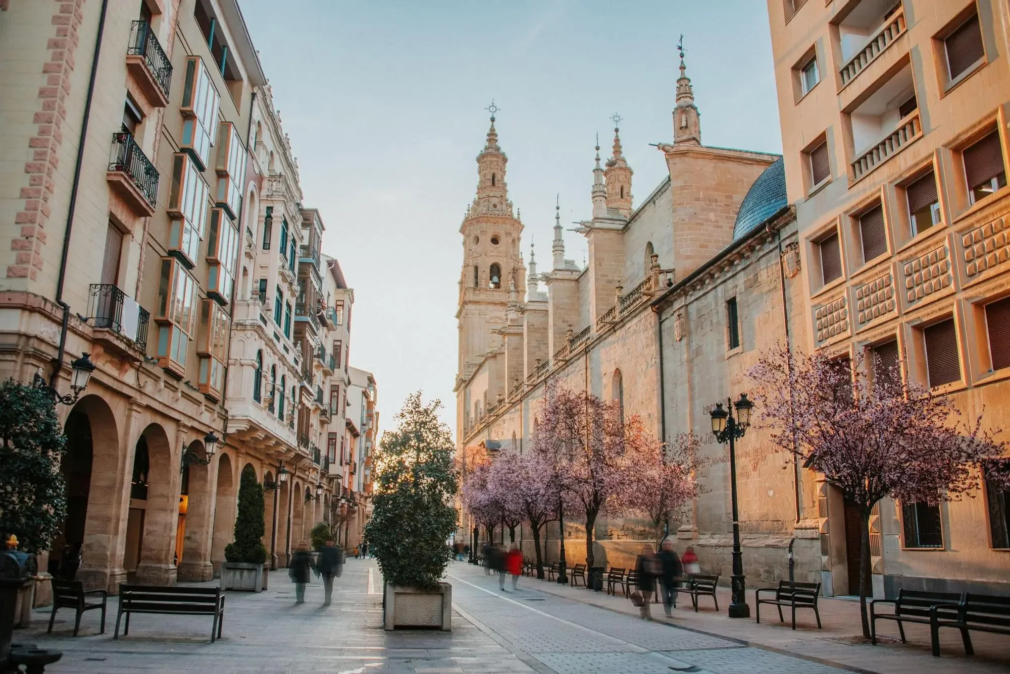 Psicólogos en Logroño - Centro PsicoBienestar con vista de la ciudad