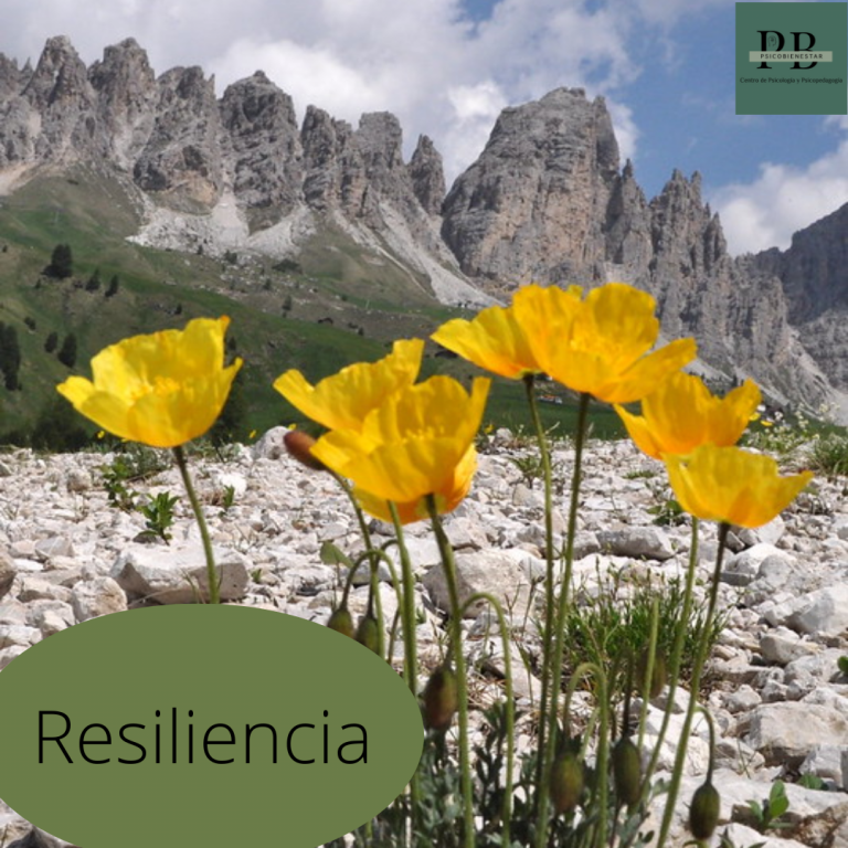 resiliencia