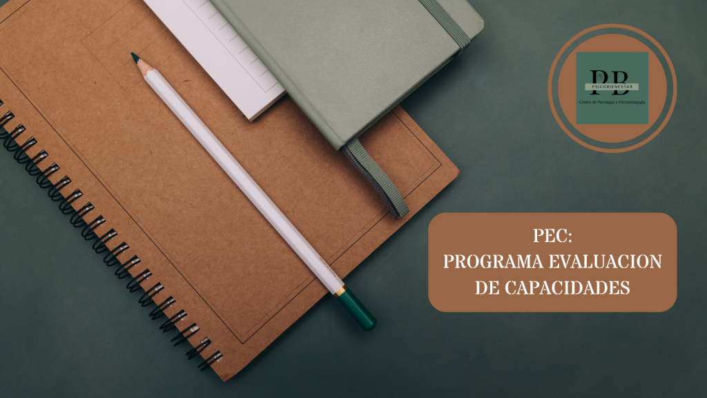 Evaluaciones psico-educativas